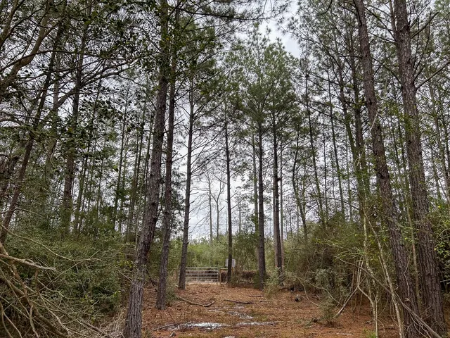 $44,900 | 4520 Warren Tx 77664, Warren, TX 77664