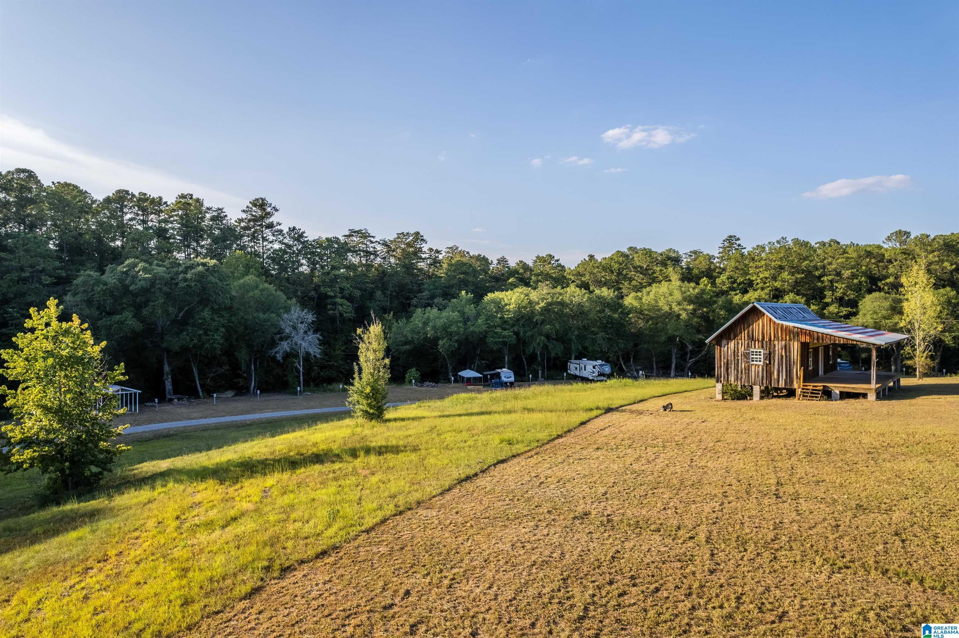 241 Bluegrass Lane Jasper, AL 35503 - Photo 34 of 53