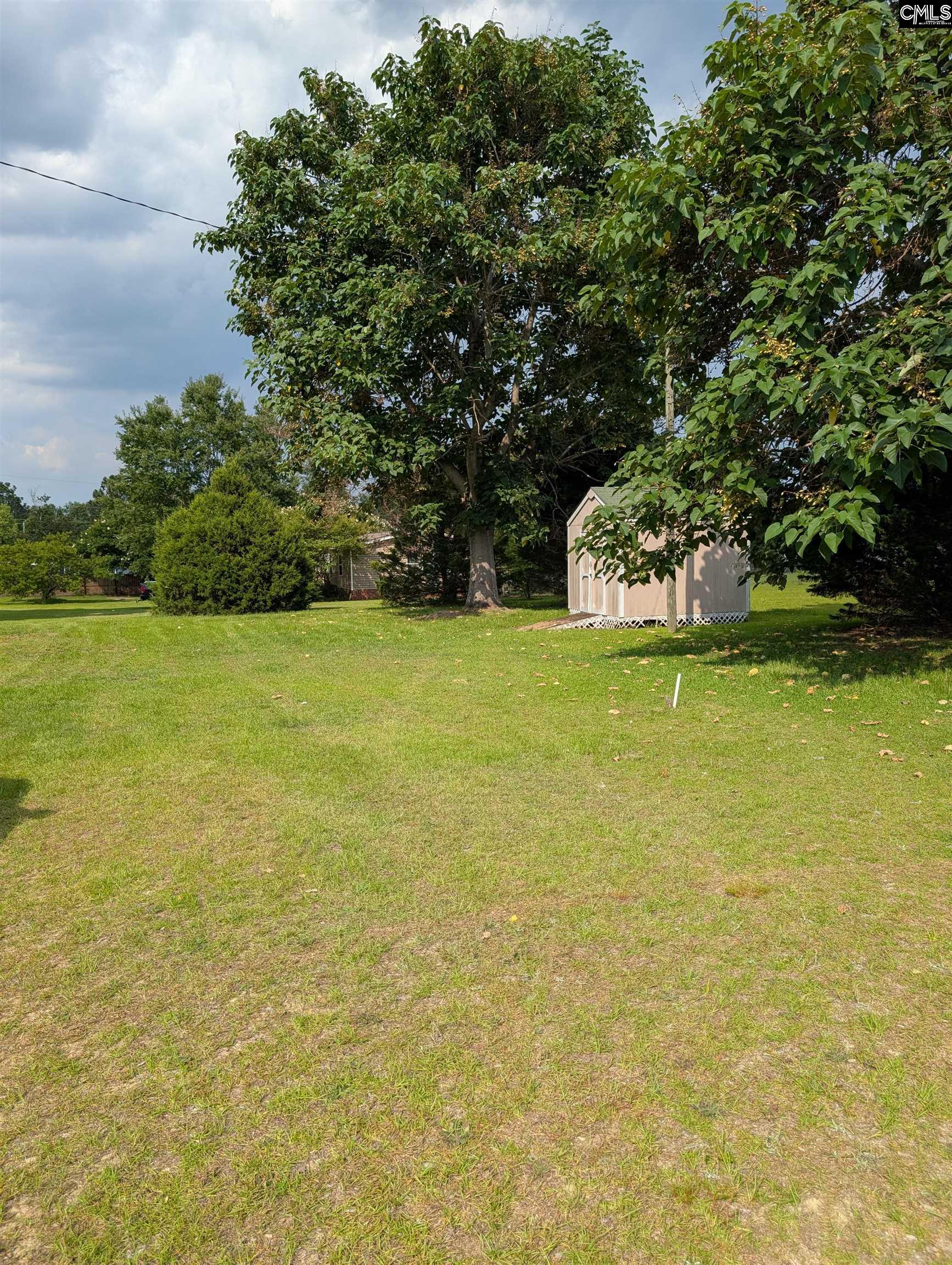 113 Hass Lucas Road Gaston, SC 29053 - Photo 39 of 39