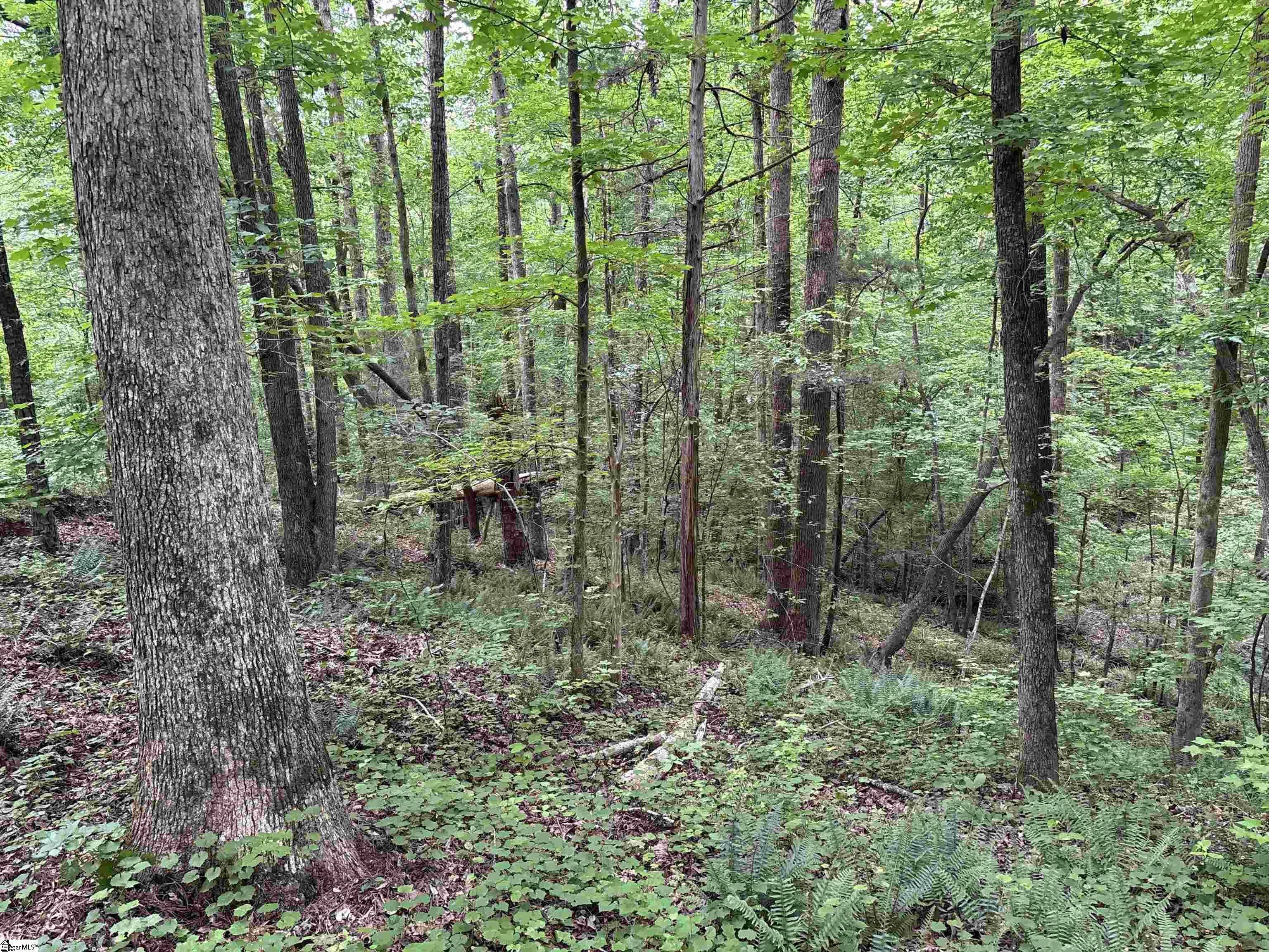 1087 Bobby Faucette Road Jonesville, SC 29353 - Photo 33 of 47
