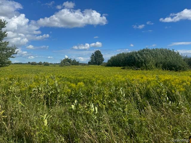 1 Duquette Road Peck, MI 48466 - Photo 7 of 40