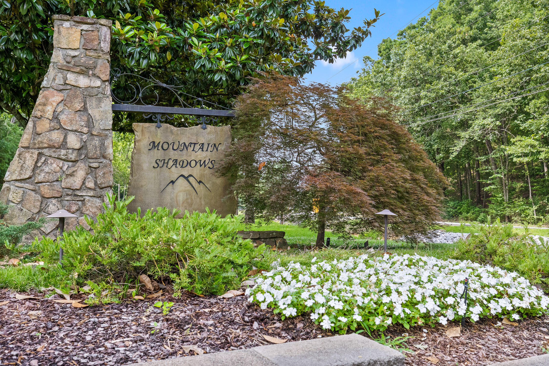 9420 Mountain Shadows Drive Chattanooga, TN 37421 - Photo 55 of 70 75-Mountain Shadow-120