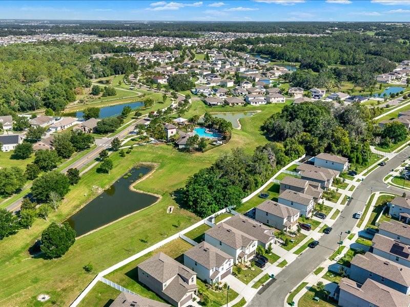 6213 Back Forty Loop Zephyrhills, FL 33541 - Photo 49 of 57