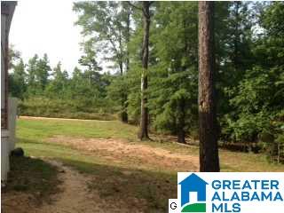 150 County Road 252 Clanton, AL 35046 - Photo 6 of 9