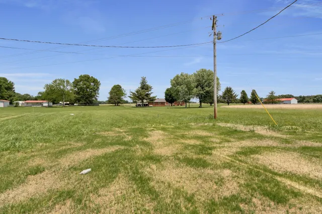 a view of a field with a tree in the background