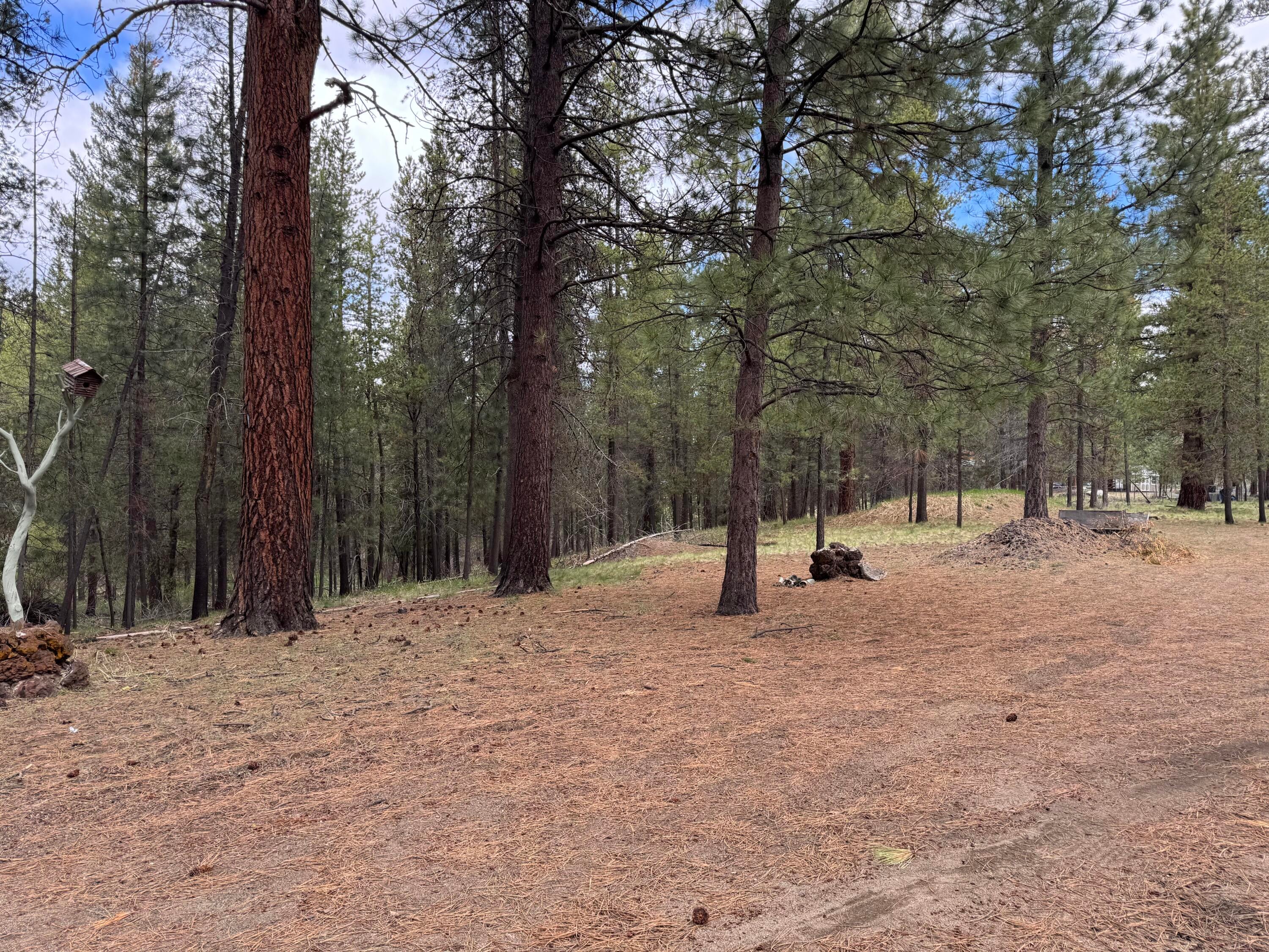 15834 Jackpine Road La Pine, OR 97739 - Photo 46 of 49 45