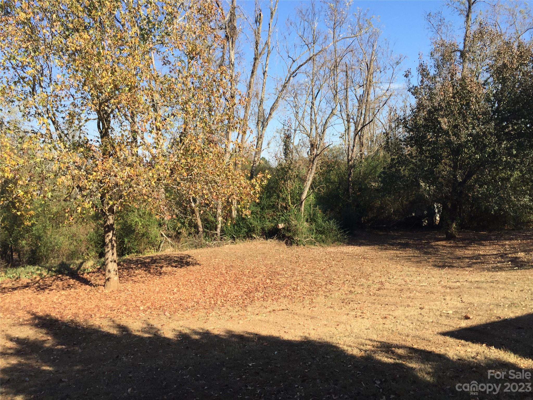 171 Charlie Randall Road Lawndale, NC 28090 - Photo 18 of 28 a view of a yard with trees