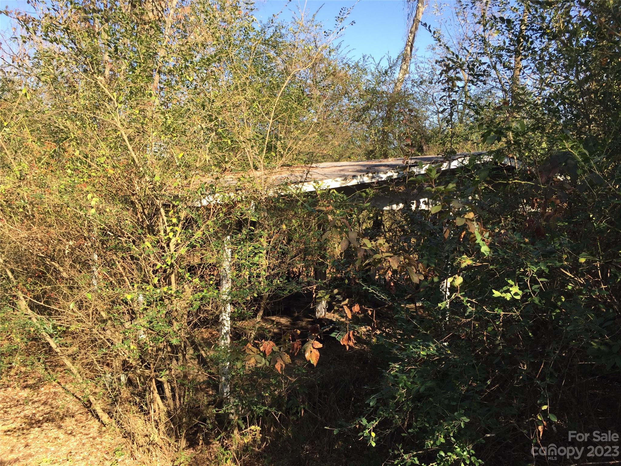 171 Charlie Randall Road Lawndale, NC 28090 - Photo 22 of 28 a view of tree