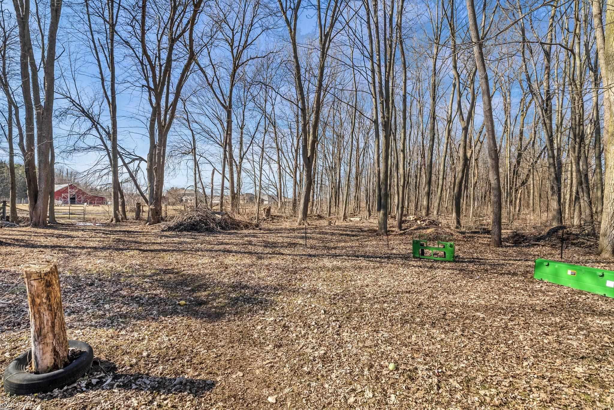 47673 Sugarbush Road Chesterfield, MI 48047 - Photo 46 of 55