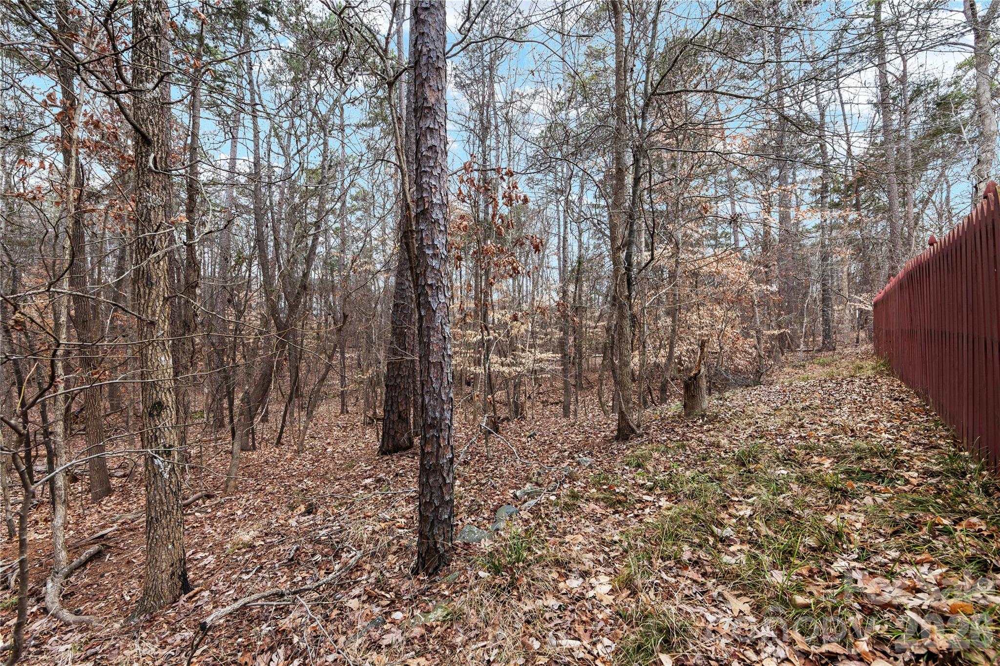 10944 Hellebore Road Charlotte, NC 28213 - Photo 38 of 38 Gallery Image 38