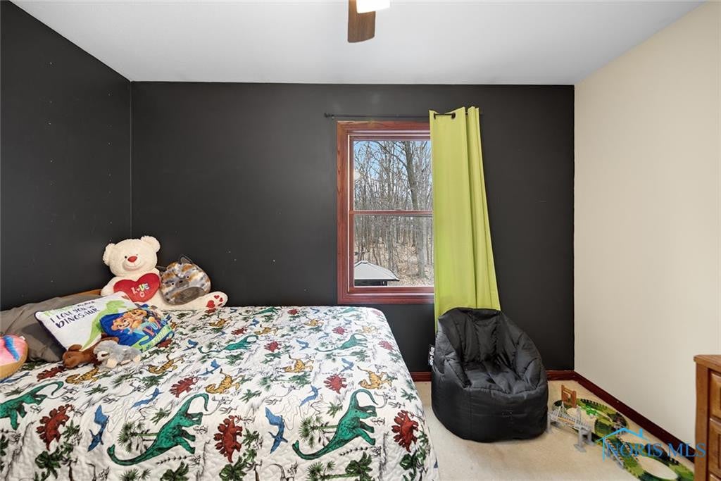 12440 Shaffer Road Swanton, OH 43558 - Photo 29 of 50 Gallery Image 29