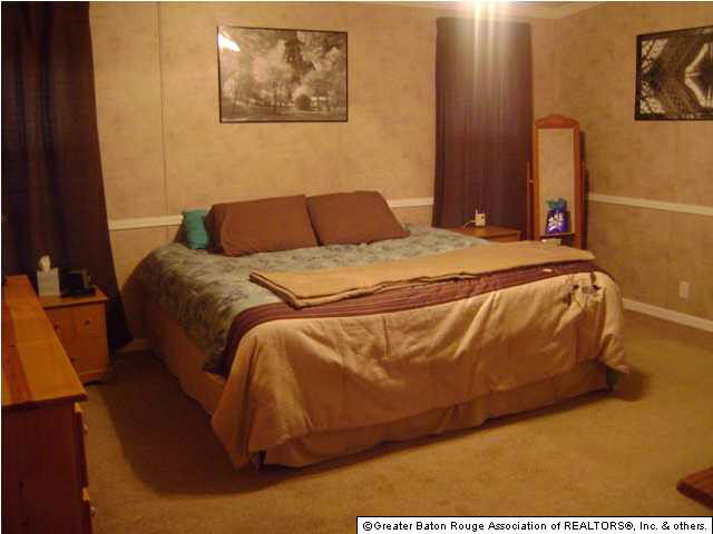 12166 Peter Bourgeois Road St. Amant, LA 70774 - Photo 8 of 15 Gallery Image 8
