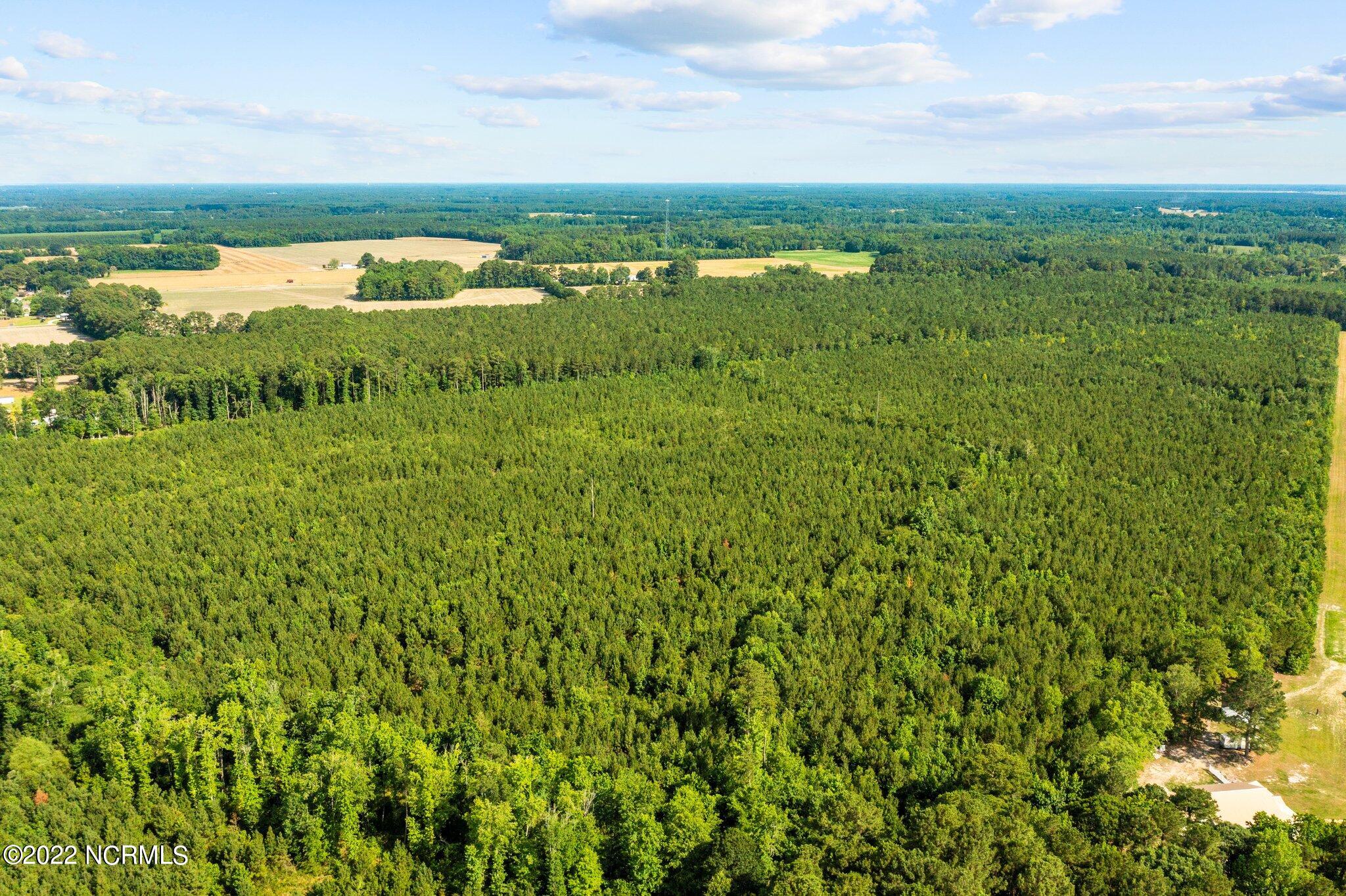 4812 Mobleys Bridge Road Grimesland, NC 27837 - Photo 12 of 12 web_DJI_0997
