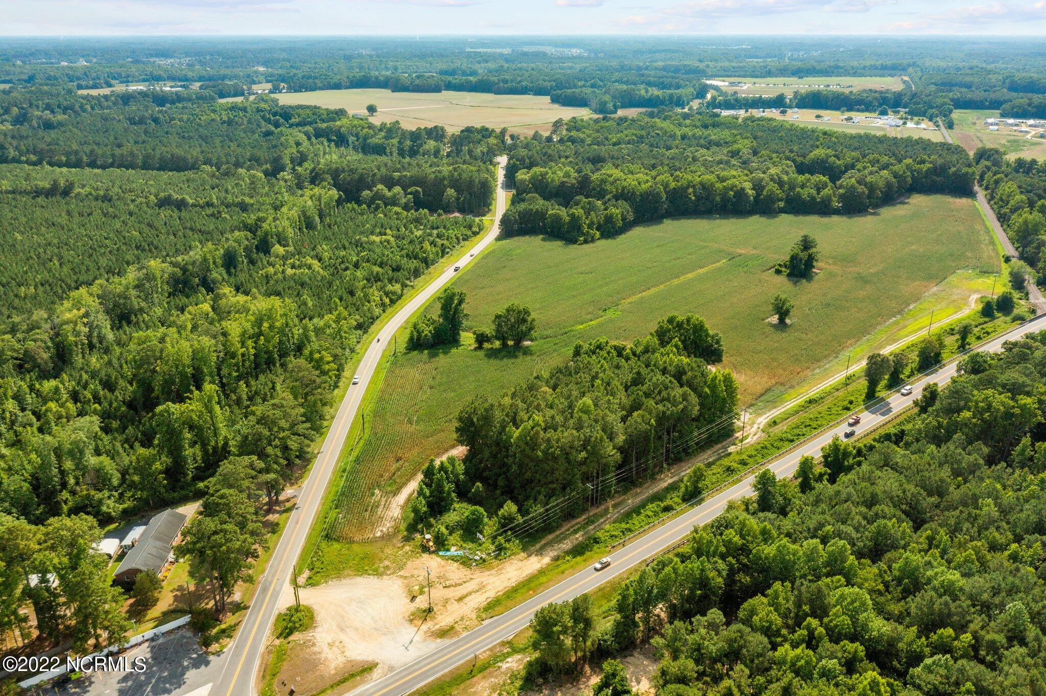 4812 Mobleys Bridge Road Grimesland, NC 27837 - Photo 2 of 12 web_DJI_0989
