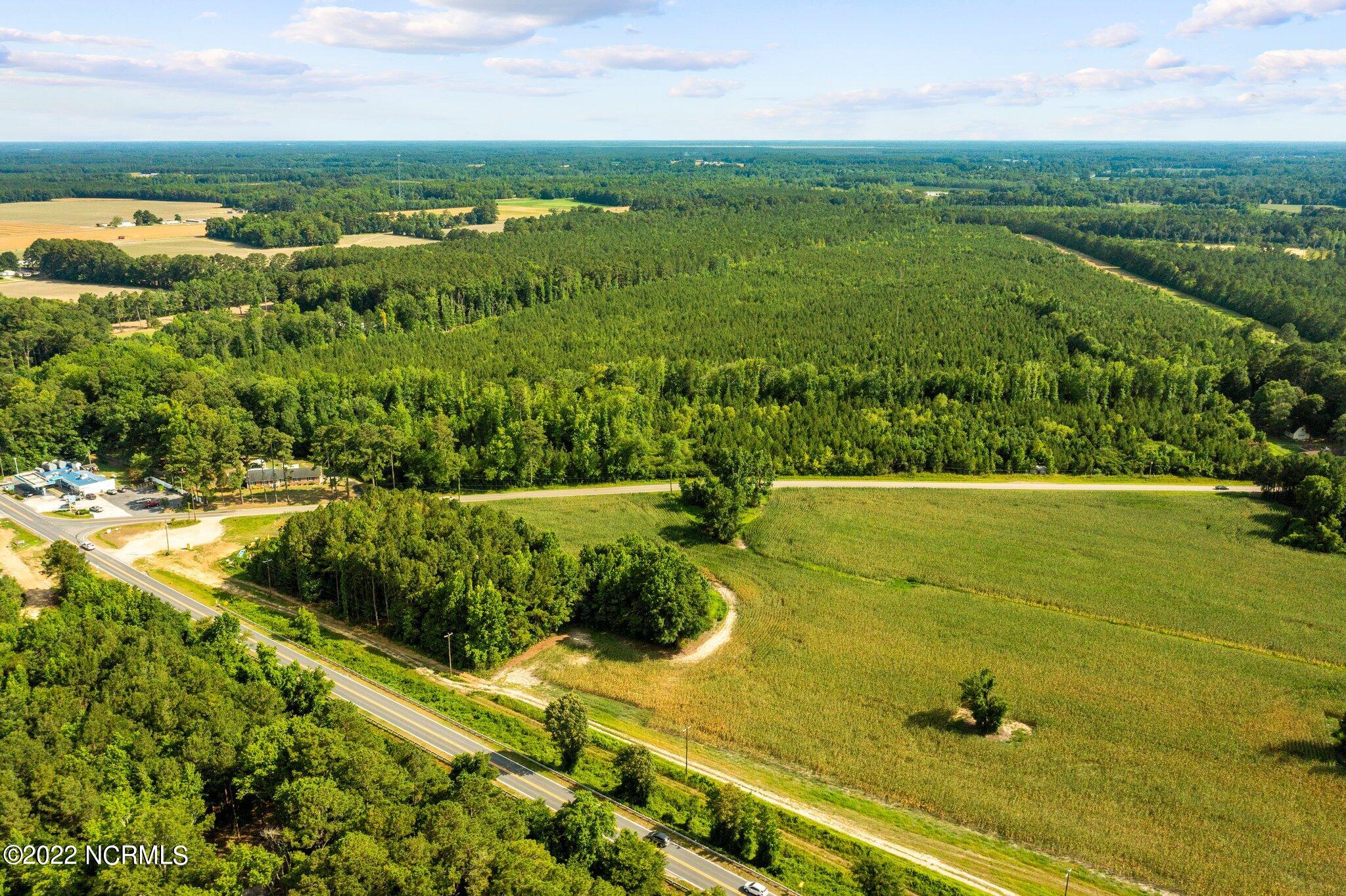 4812 Mobleys Bridge Road Grimesland, NC 27837 - Photo 5 of 12 web_DJI_0991