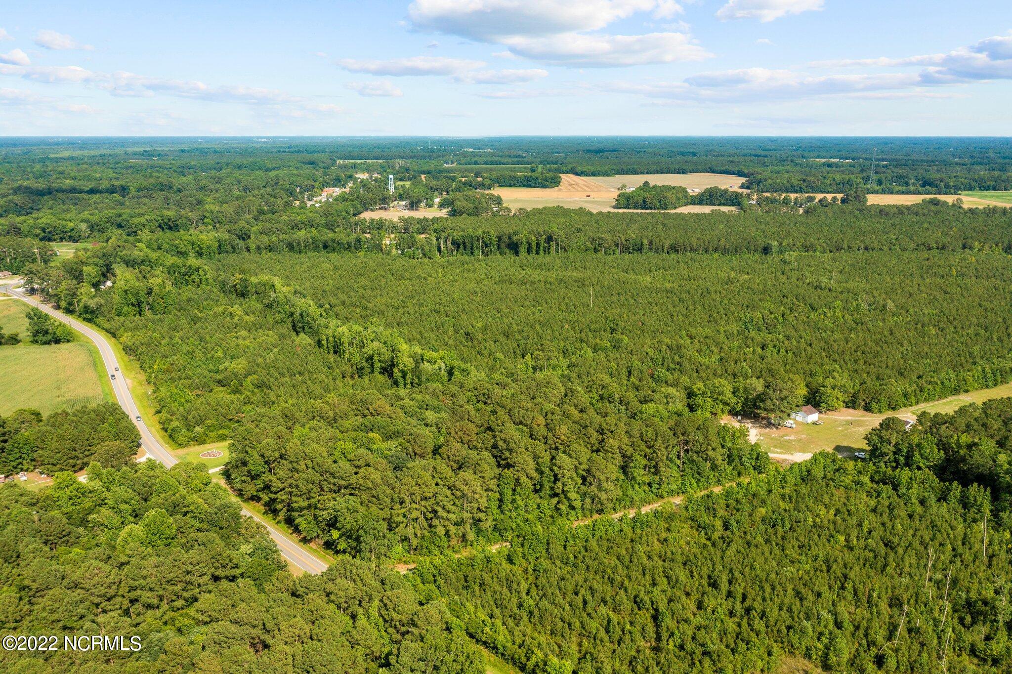4812 Mobleys Bridge Road Grimesland, NC 27837 - Photo 10 of 12 web_DJI_0995