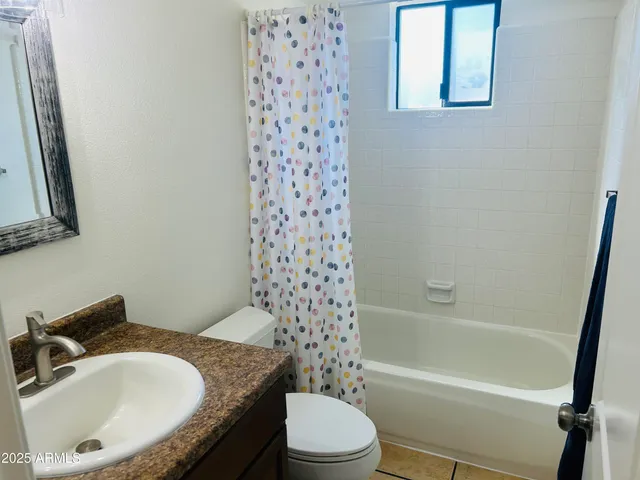 a potted plant sitting on the side of a road