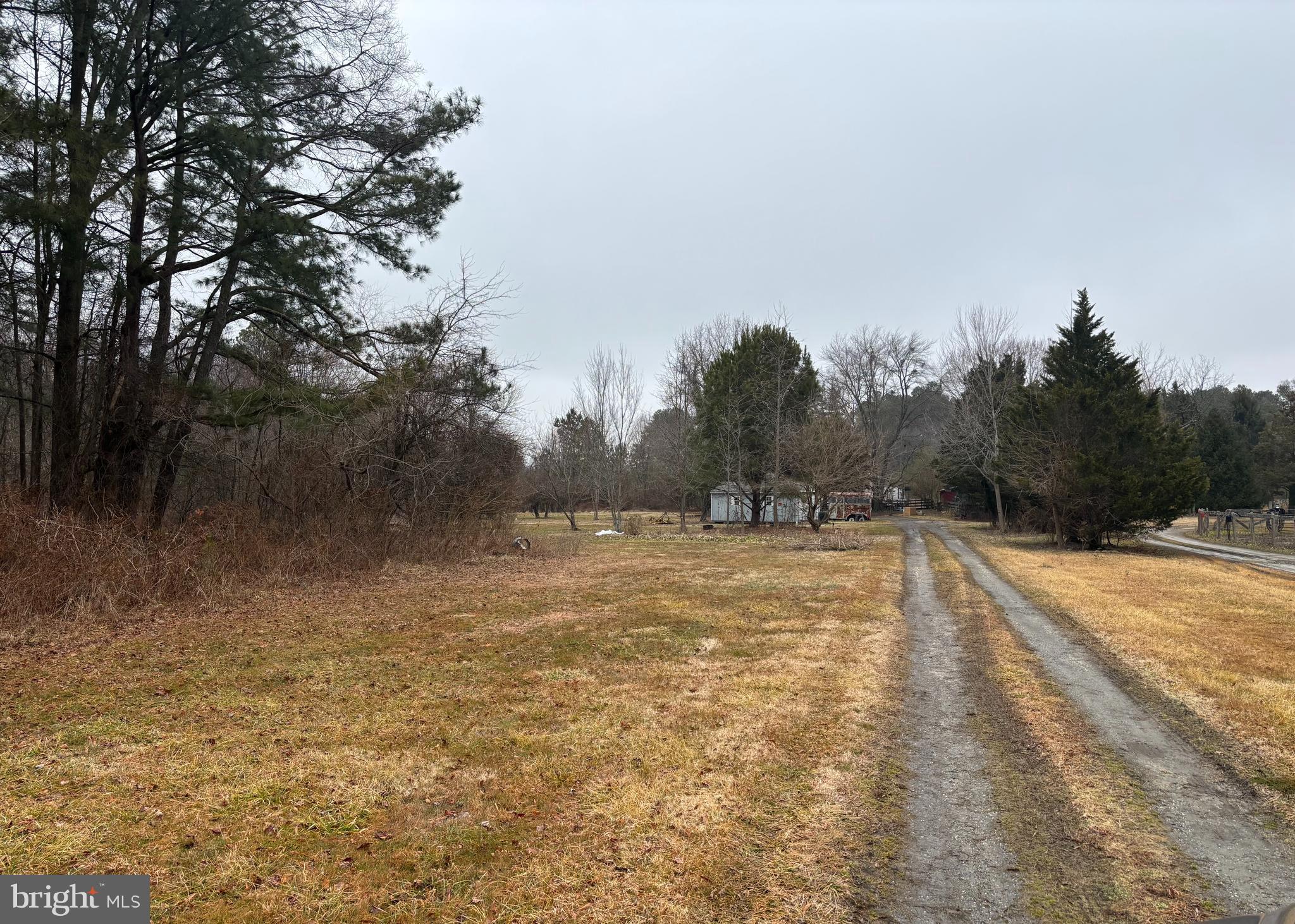 22464 Hillsboro Road Denton, MD 21629 - Photo 2 of 8 a view of a yard with trees