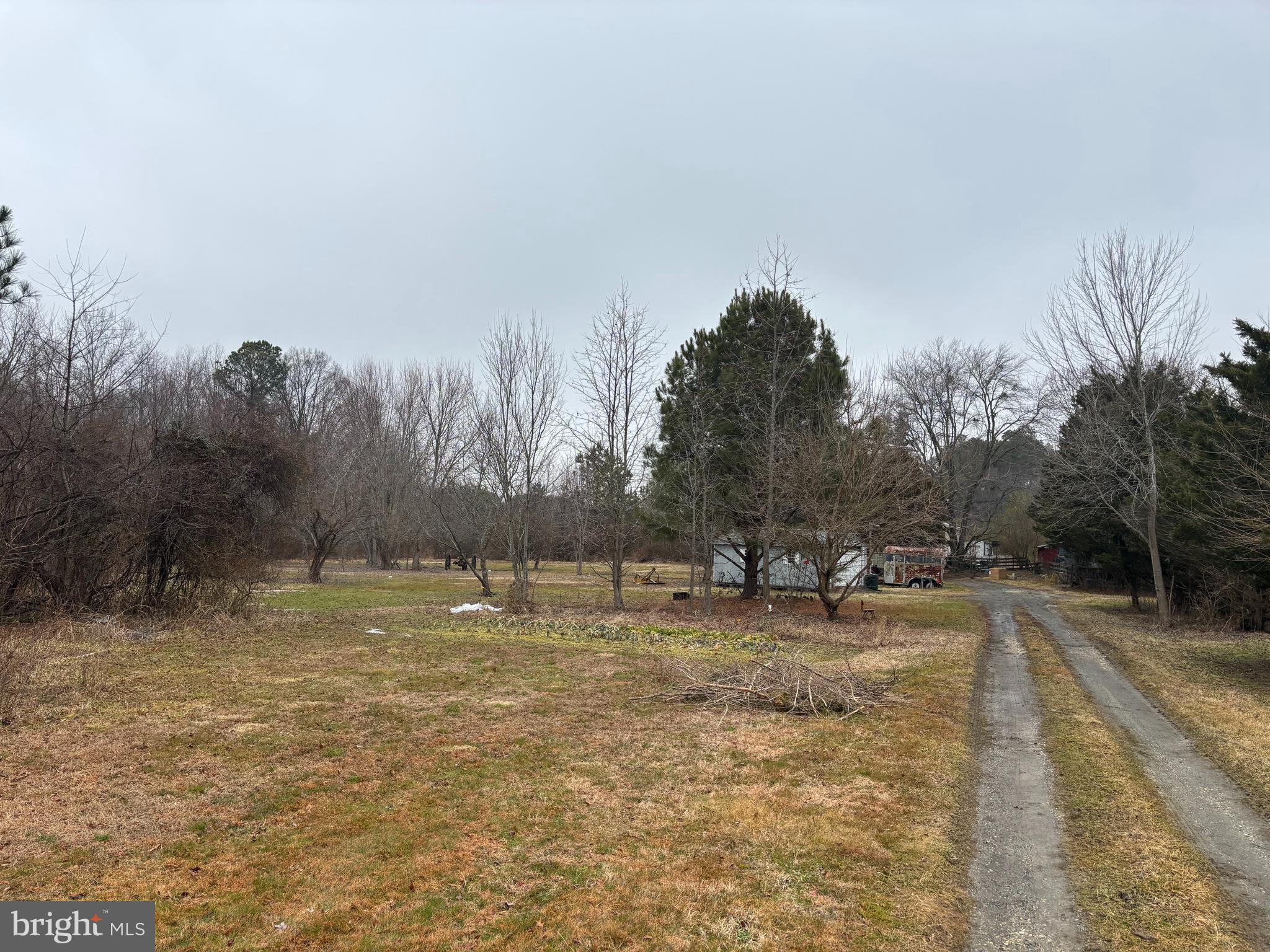 22464 Hillsboro Road Denton, MD 21629 - Photo 3 of 8 a view of dirt field with trees in the background