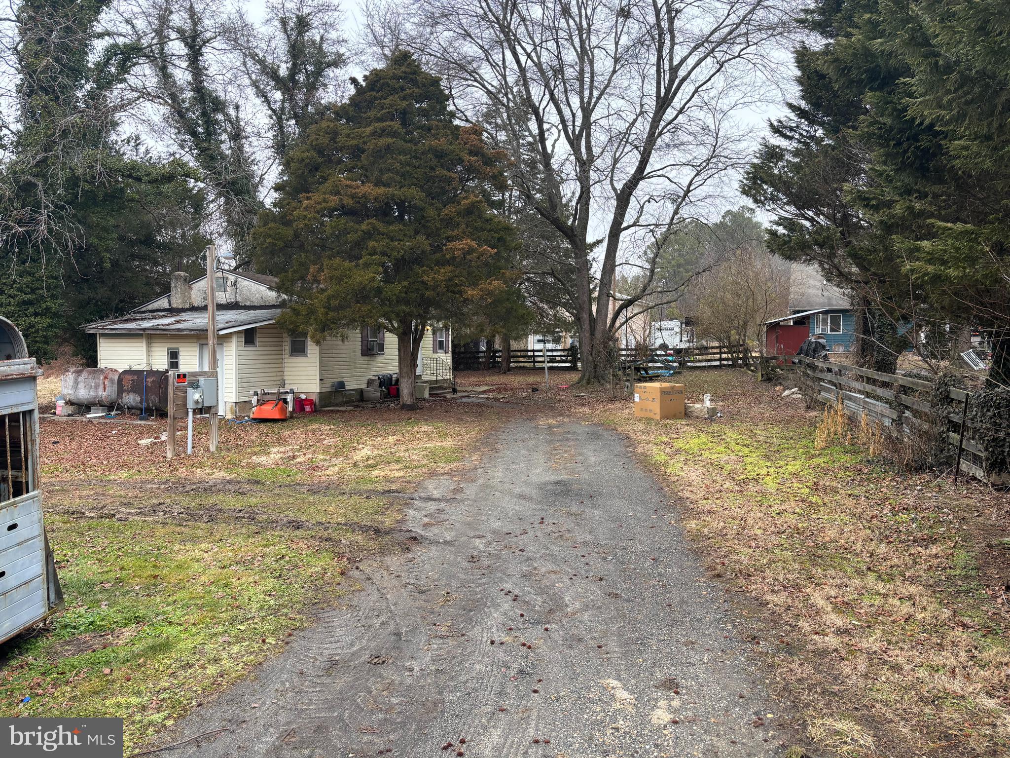 22464 Hillsboro Road Denton, MD 21629 - Photo 5 of 8 a view of a yard with a house and a large tree