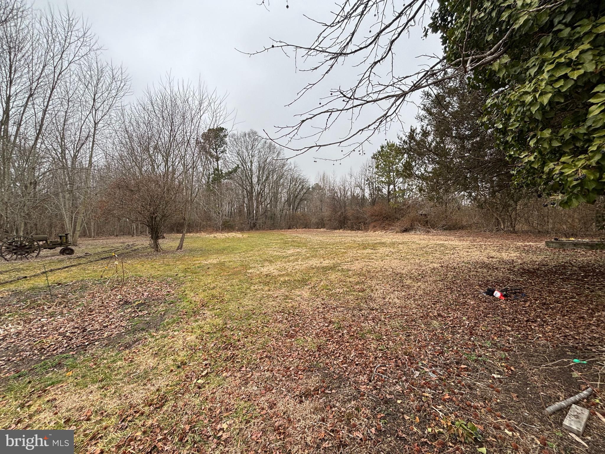 22464 Hillsboro Road Denton, MD 21629 - Photo 6 of 8 a view of outdoor space with trees