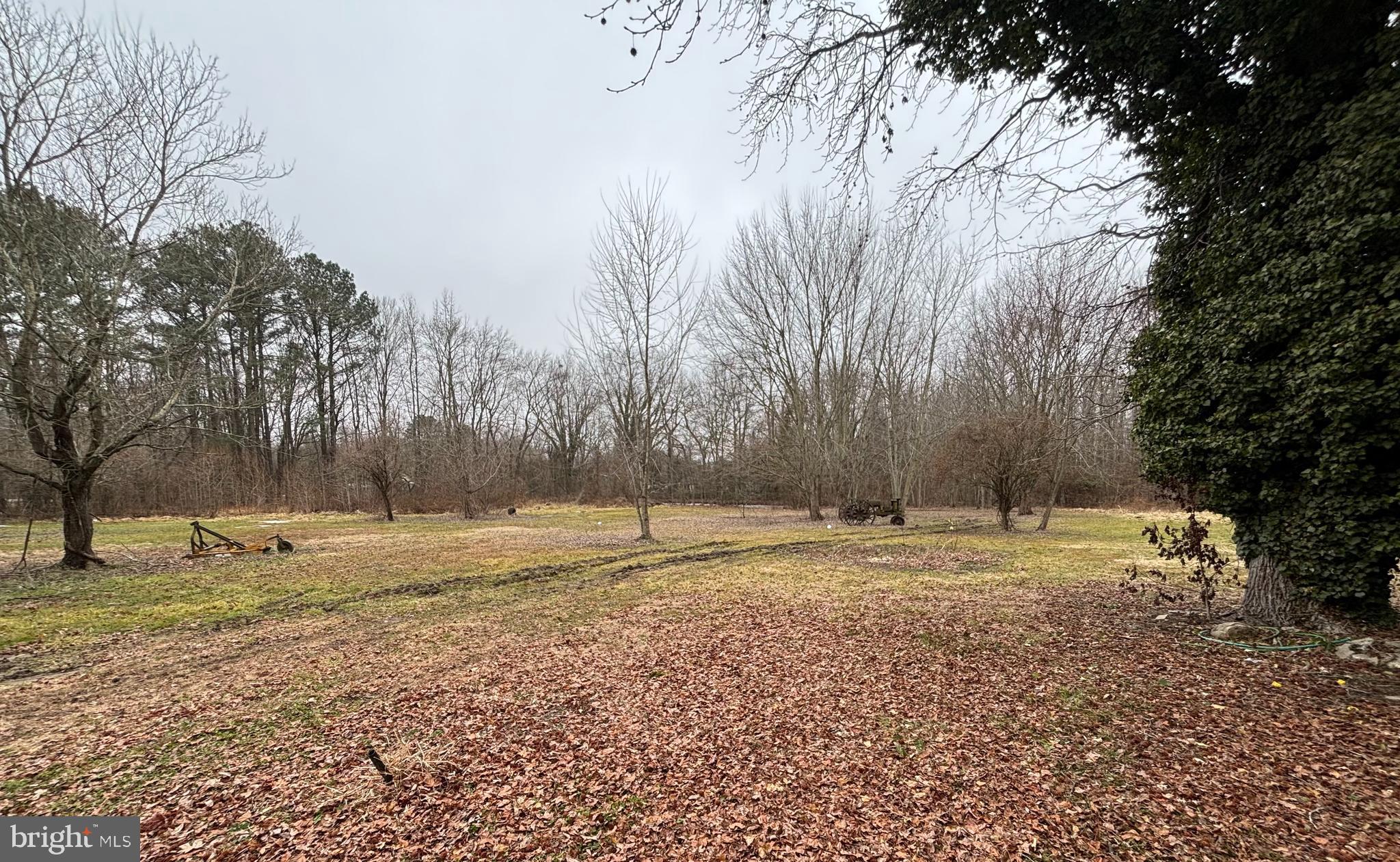 22464 Hillsboro Road Denton, MD 21629 - Photo 7 of 8 a view of a yard with trees