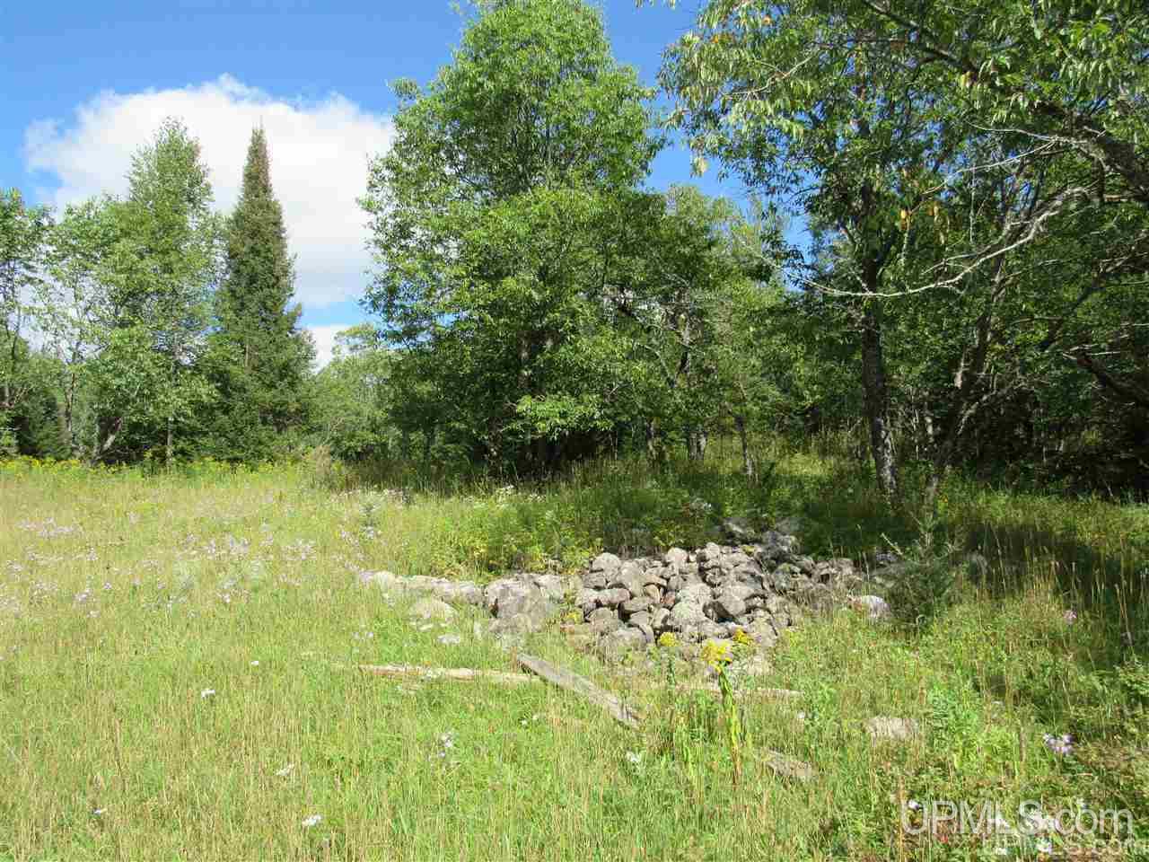 Tbd Tbd Off Stagecoach Road Michigamme, MI 49861 - Photo 28 of 37
