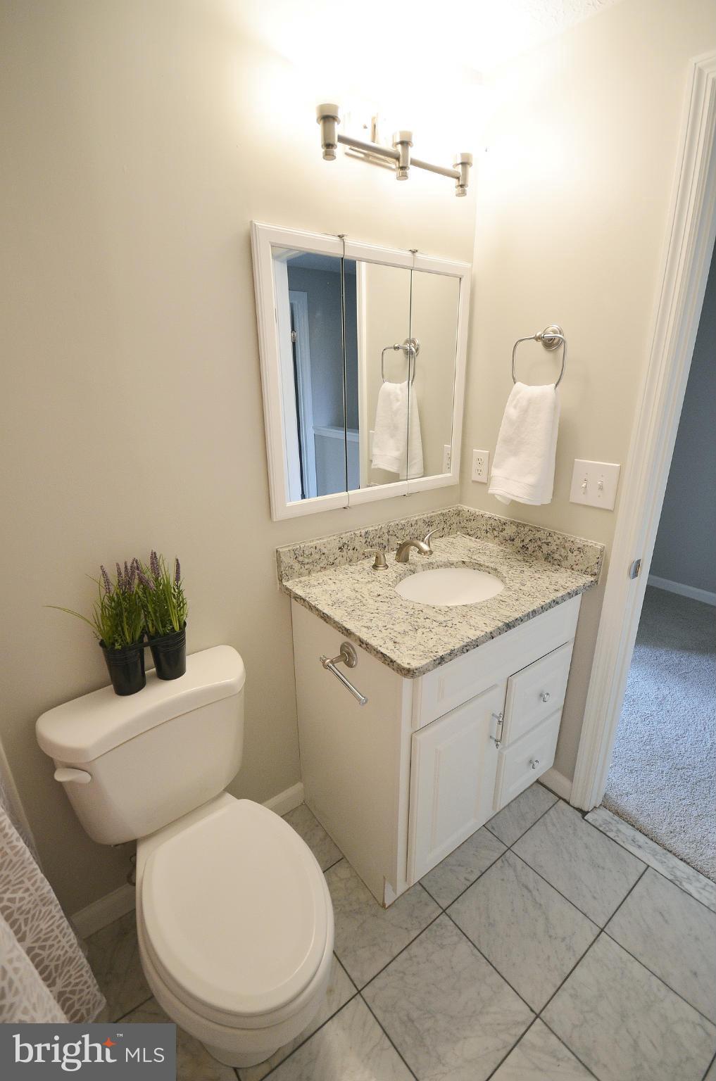 1617 Fieldthorn Drive Reston, VA 20194 - Photo 18 of 30 Upper full bath w/ granite top & marble floor