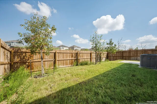 a view of a backyard with plants and large tree