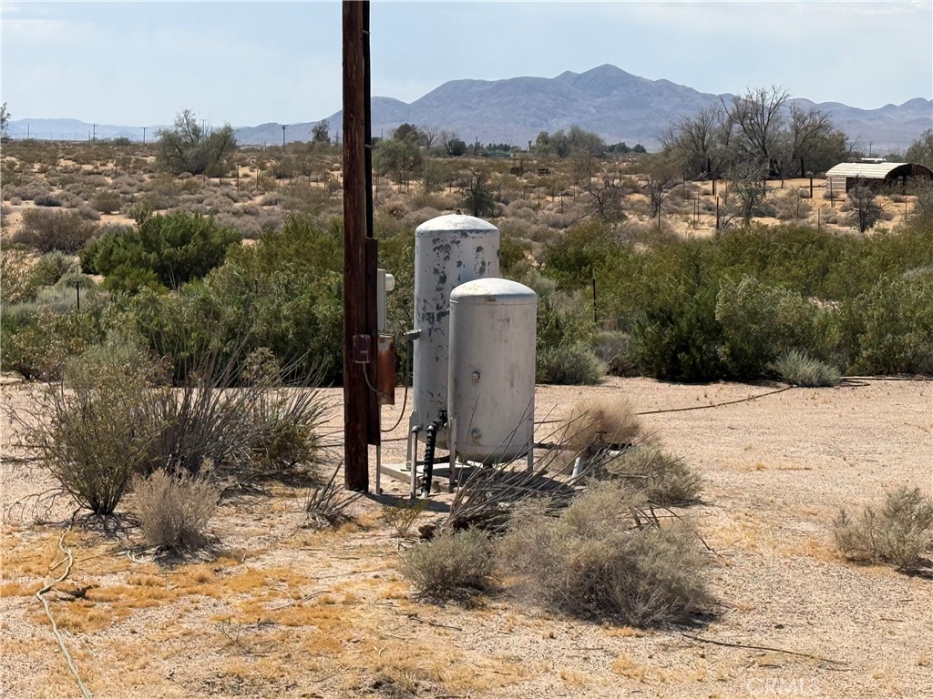 35030 Harvard Road Newberry Springs, CA 92365 - Photo 17 of 23 a view of a yard with a tree