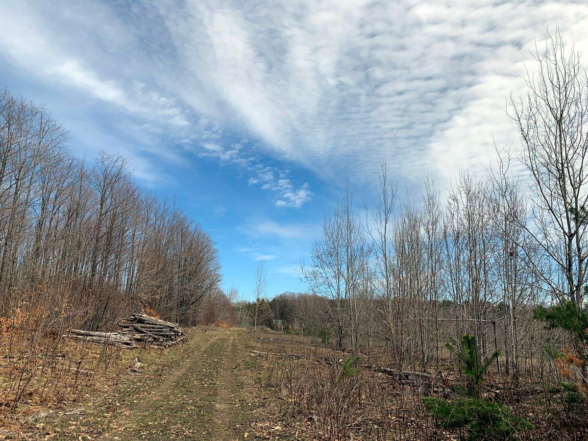 Valley Road Levering, MI 49755 - Photo 1 of 34 Gallery Image 1