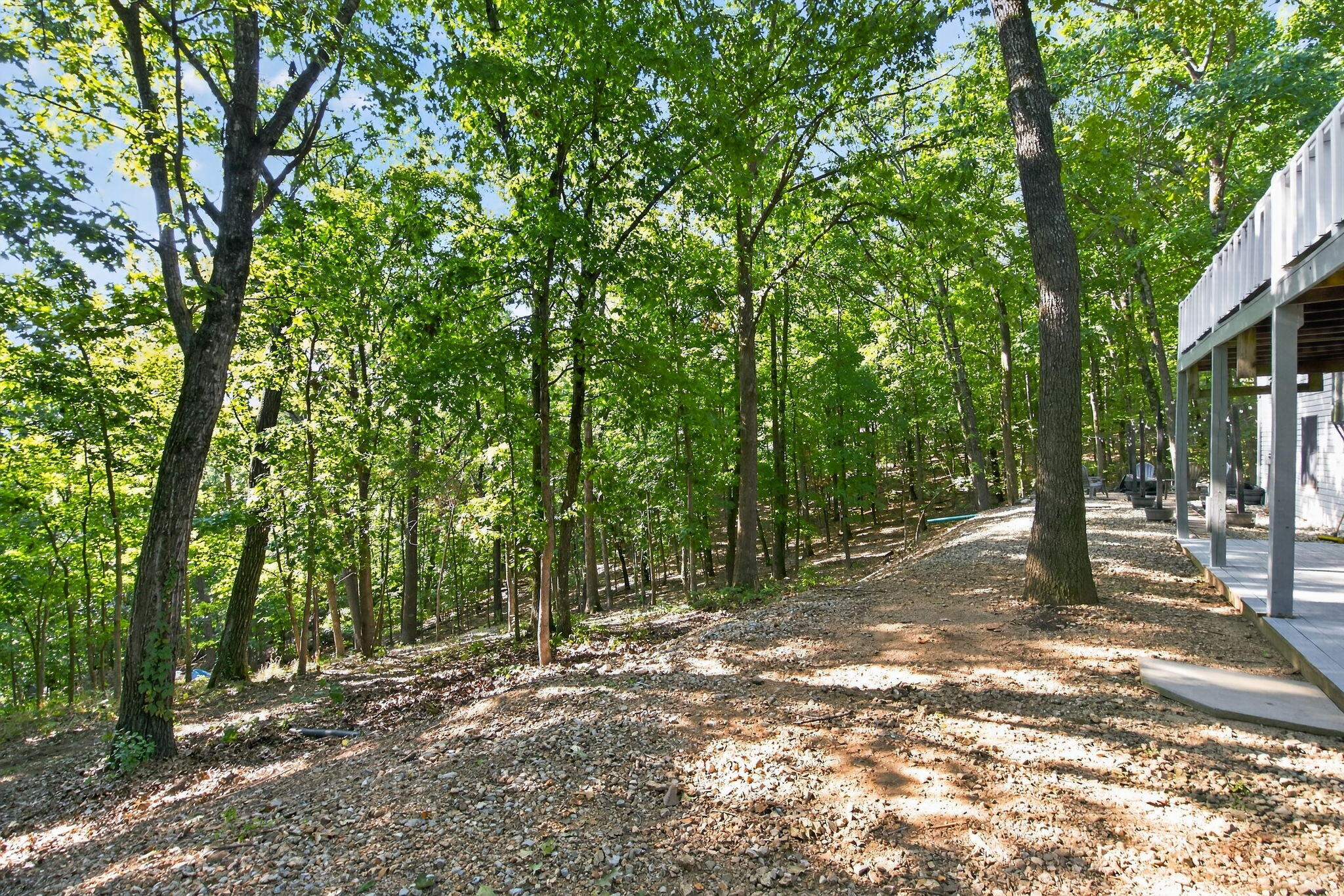166 Queensberry Road Reeds Spring, MO 65737 - Photo 42 of 50 35-web-or-mls-HWJ07792