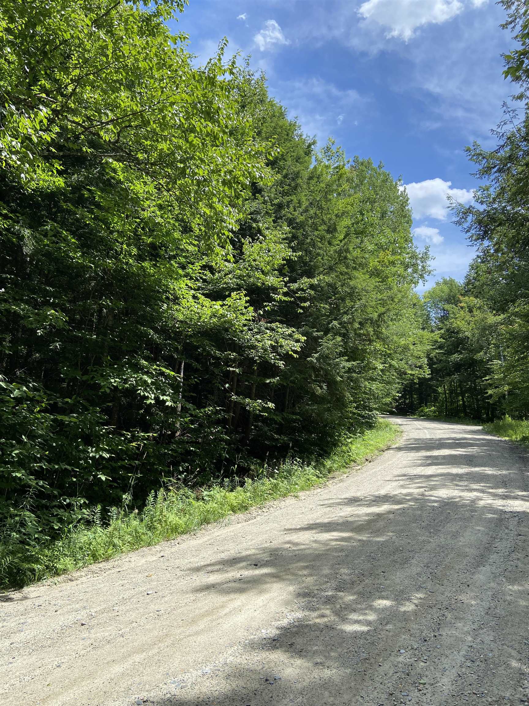 0 Norrie Davies Road Cavendish, VT 05142 - Photo 1 of 6