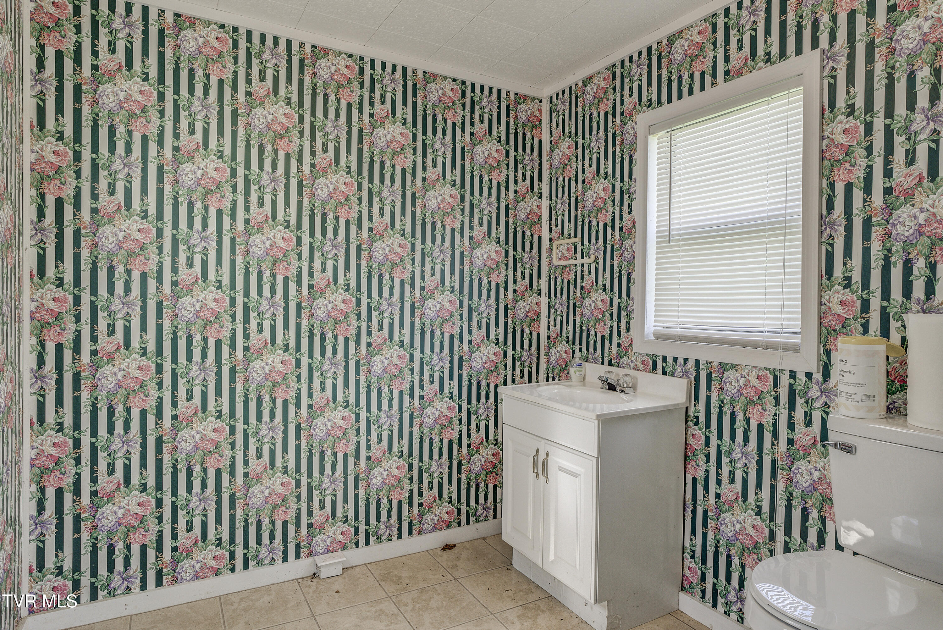 247 Cedar Point Road Johnson City, TN 37615 - Photo 52 of 90 CedarPoint--44