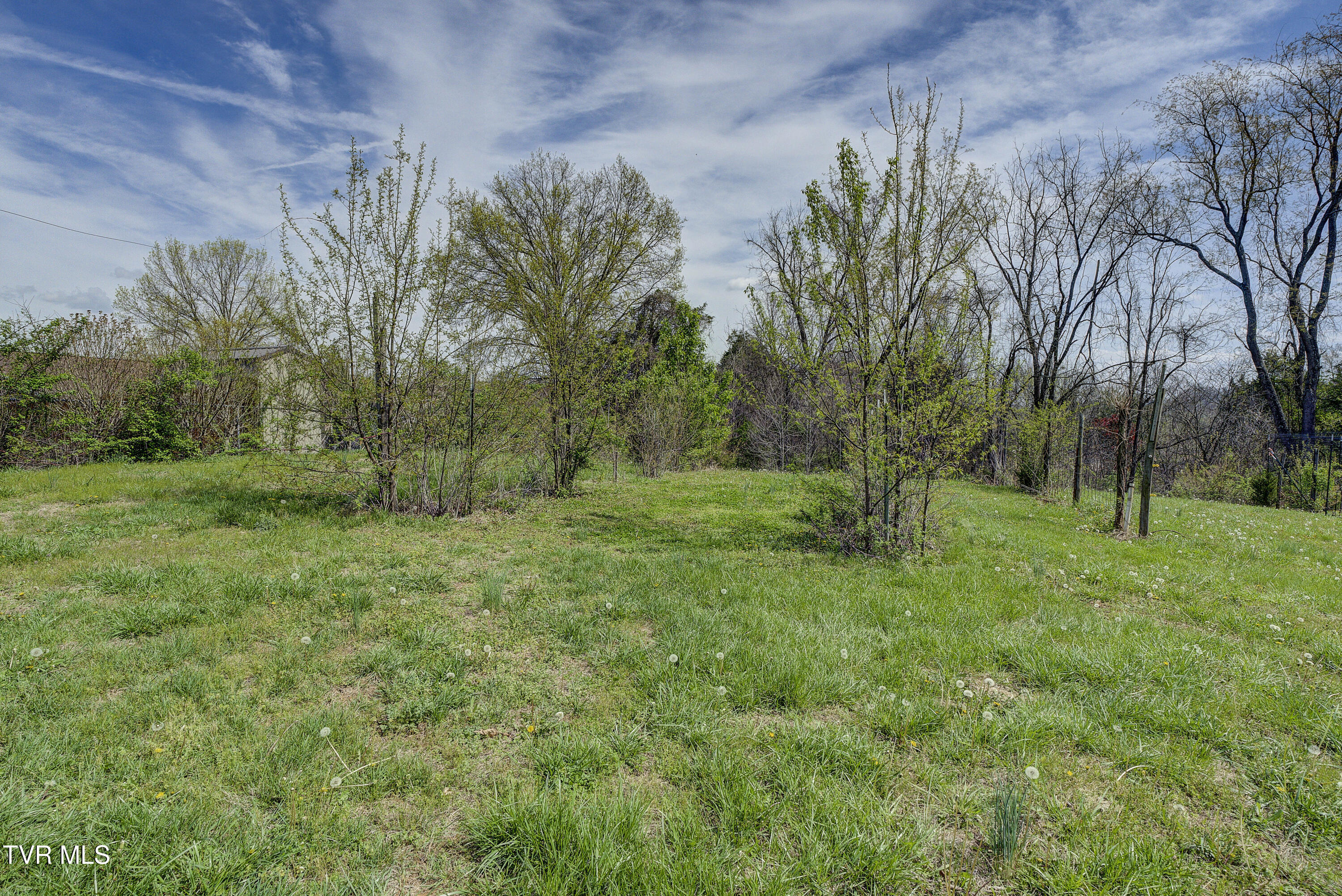 247 Cedar Point Road Johnson City, TN 37615 - Photo 59 of 90 CedarPoint--56