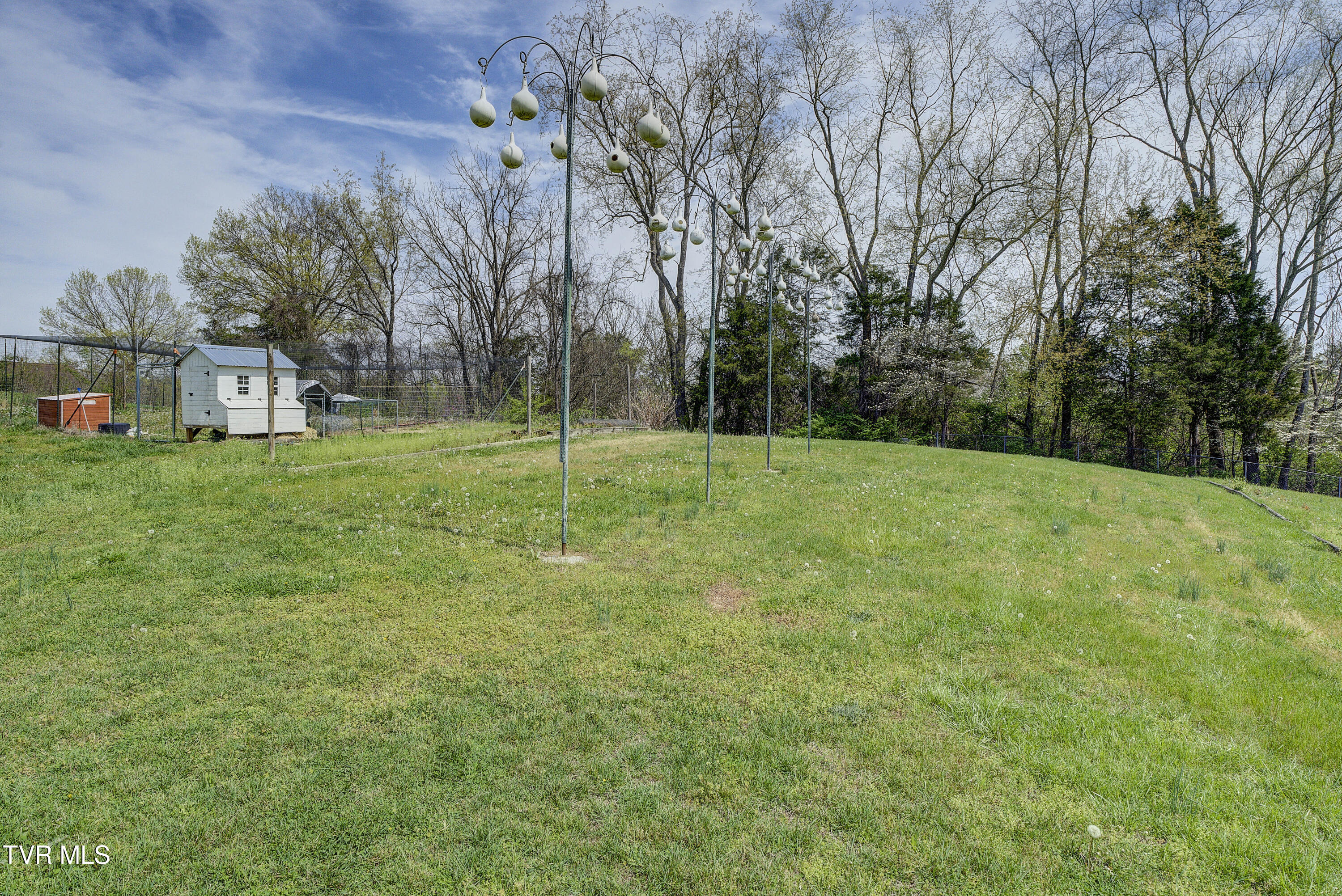 247 Cedar Point Road Johnson City, TN 37615 - Photo 63 of 90 CedarPoint--60