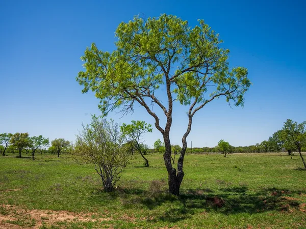 $199,000 | 1 Wine Trail Drive, Johnson City, TX 78636