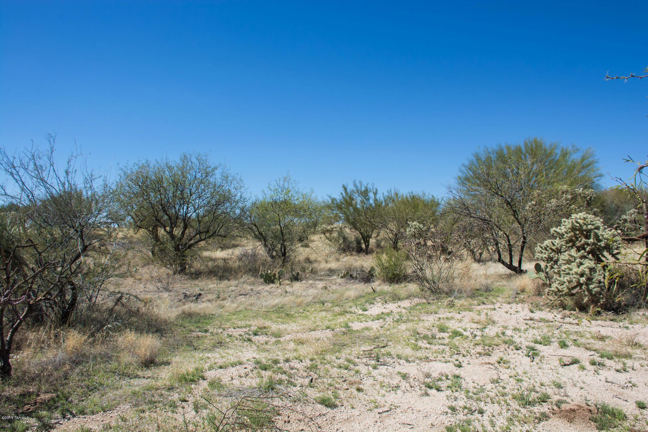 14442 North Swan Road Tucson, AZ 85739 - Photo 13 of 24