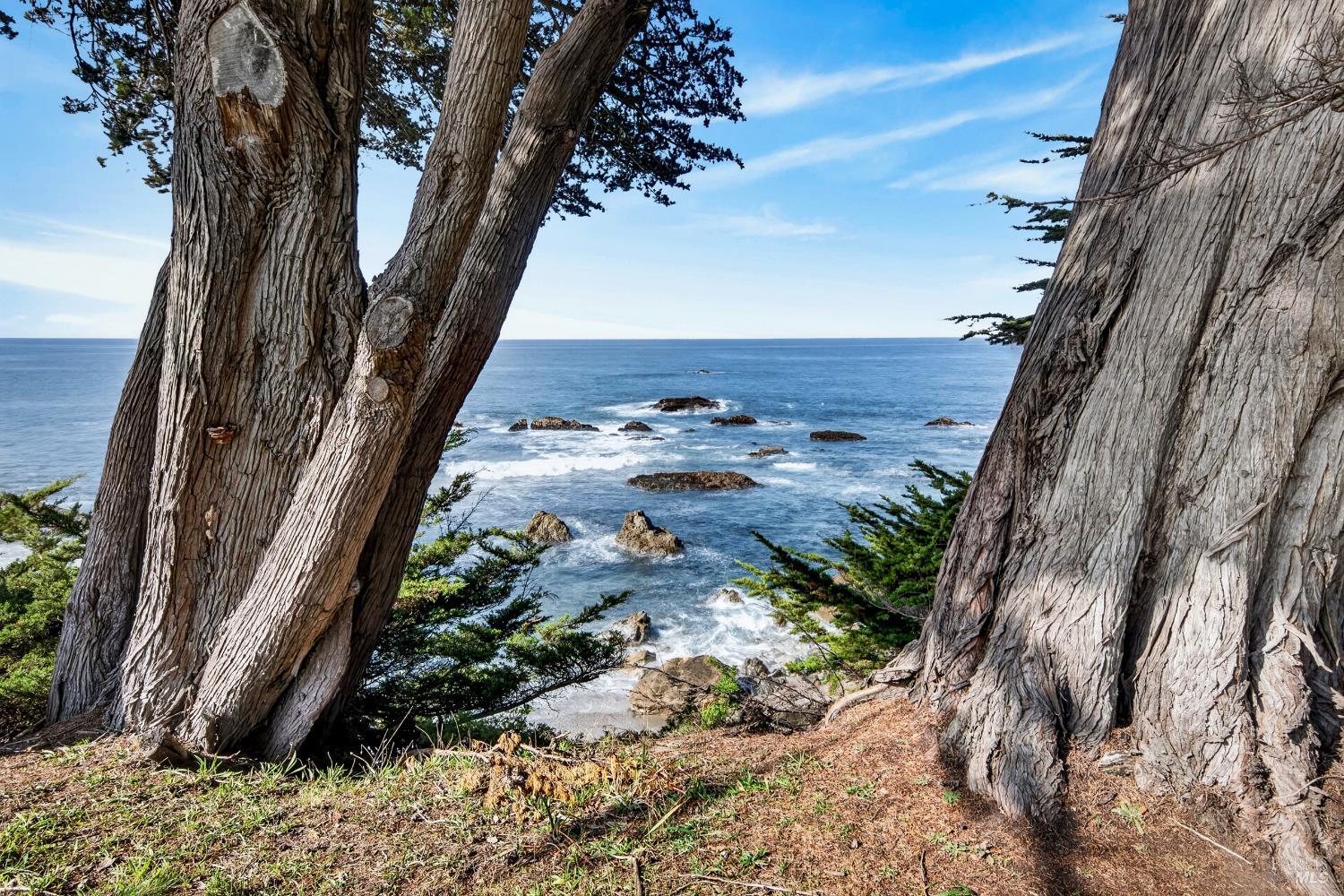 233 Solstice The Sea Ranch, CA 95497 - Photo 65 of 90 Ocean view as seen from bluff trail