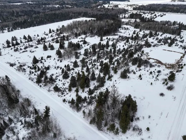 $250,000 | 89.85-acres South Pellman Loop, Maple, WI 54854