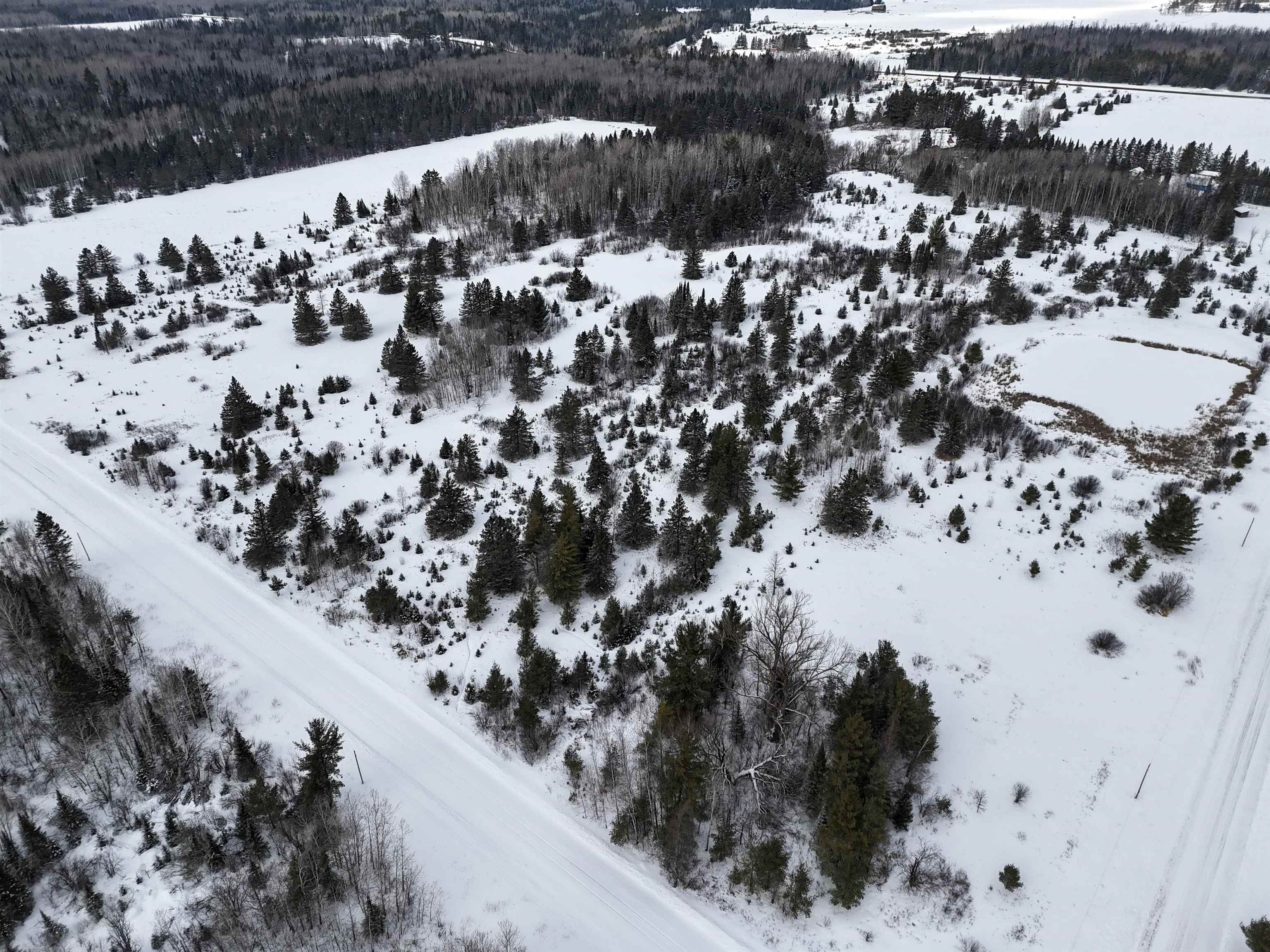 89.85-acres South Pellman Loop Maple, WI 54854 - Photo 14 of 50