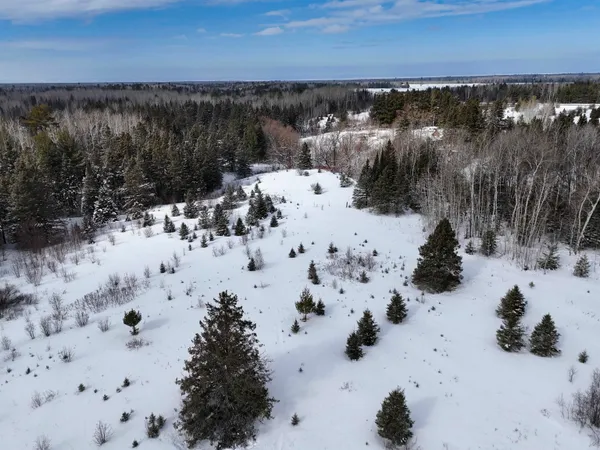 $250,000 | 89.85-acres South Pellman Loop, Maple, WI 54854