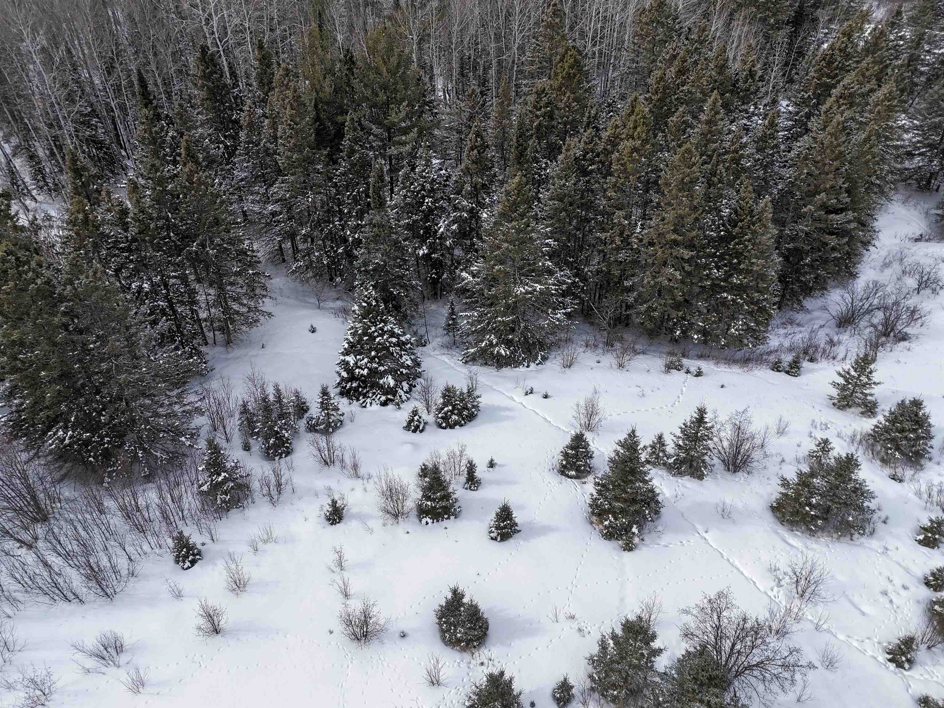 89.85-acres South Pellman Loop Maple, WI 54854 - Photo 19 of 50