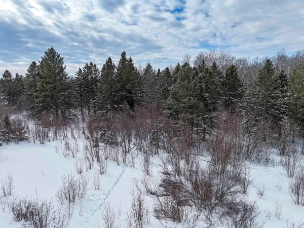 $250,000 | 89.85-acres South Pellman Loop, Maple, WI 54854
