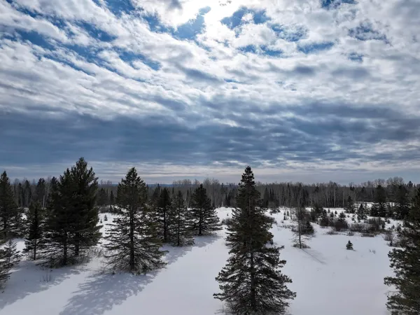 $250,000 | 89.85-acres South Pellman Loop, Maple, WI 54854