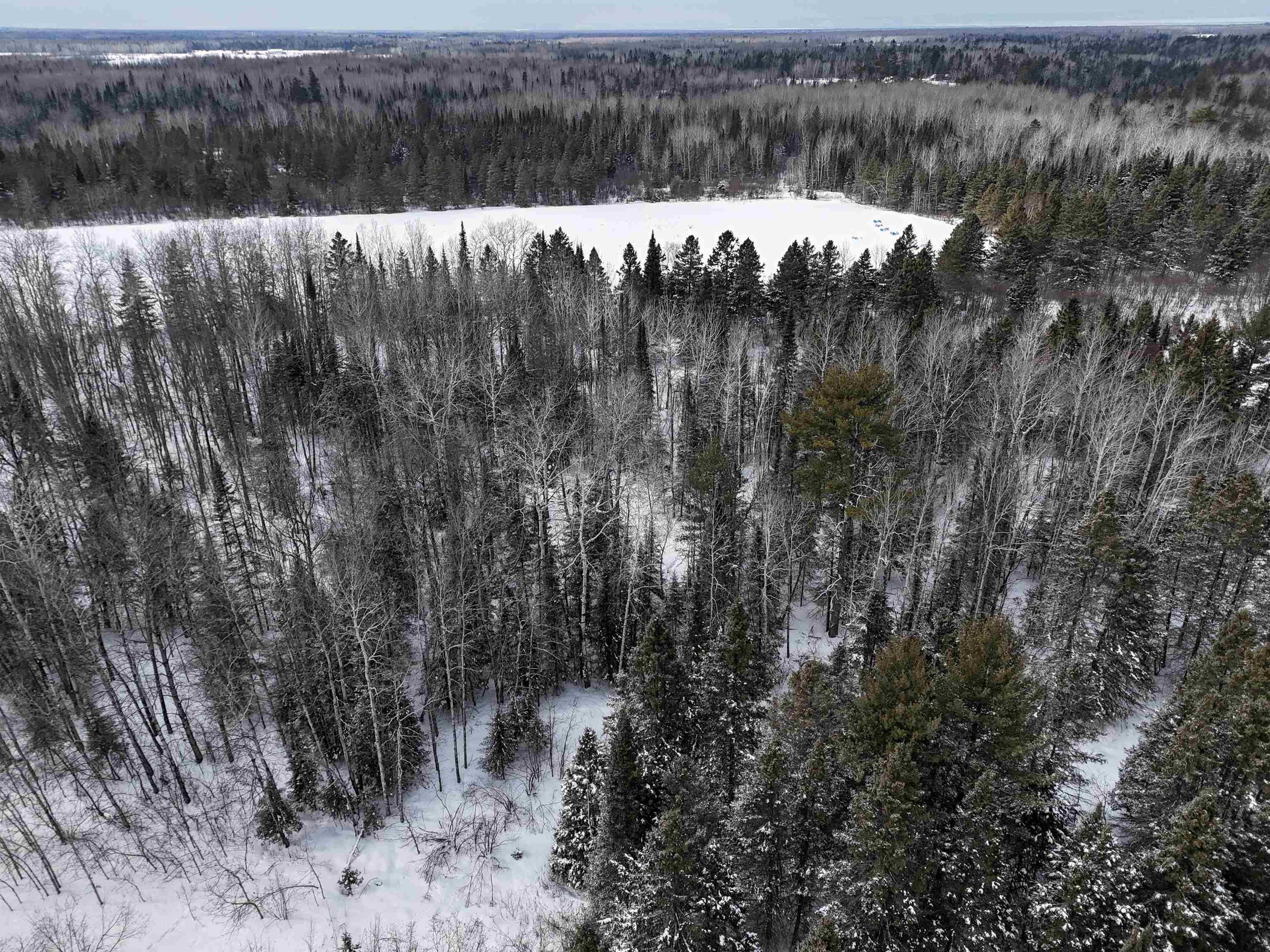 89.85-acres South Pellman Loop Maple, WI 54854 - Photo 21 of 50