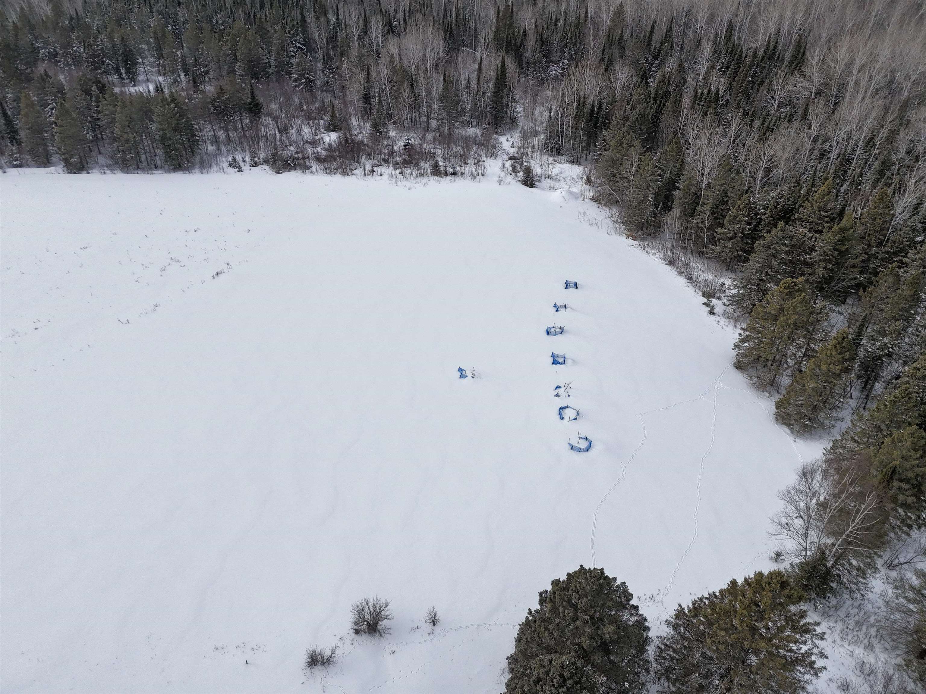 89.85-acres South Pellman Loop Maple, WI 54854 - Photo 22 of 50