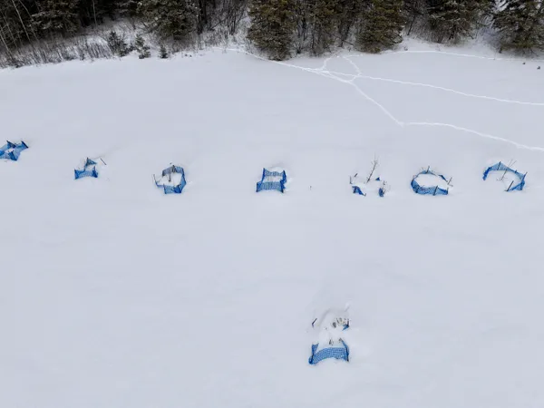 $250,000 | 89.85-acres South Pellman Loop, Maple, WI 54854