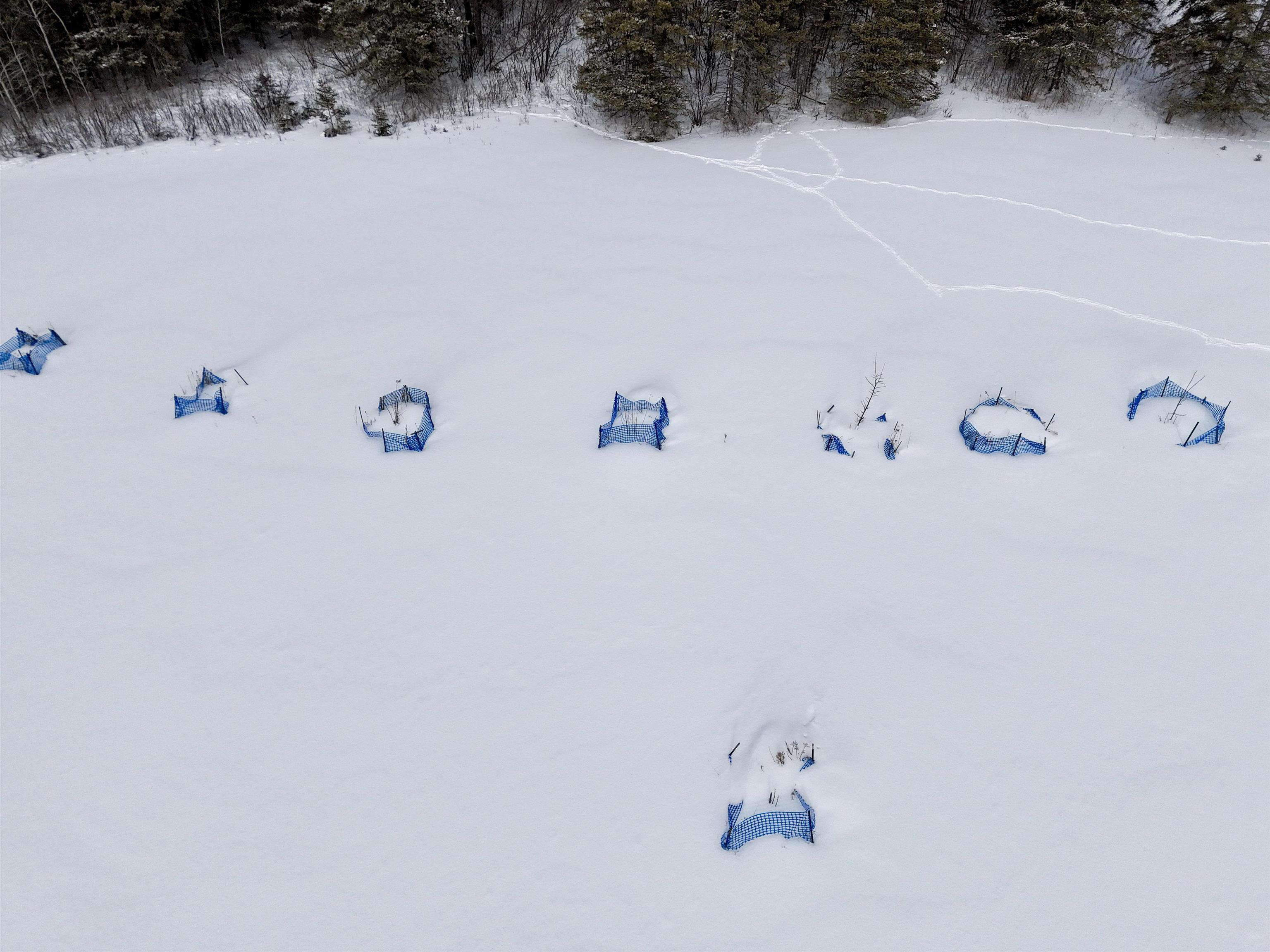 89.85-acres South Pellman Loop Maple, WI 54854 - Photo 24 of 50