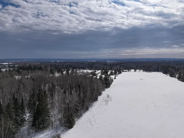 $250,000 | 89.85-acres South Pellman Loop, Maple, WI 54854